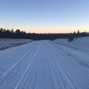 Meet your Posher, Eva